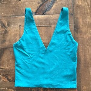 Aritzia Babaton counter SV-Neck Women's Top